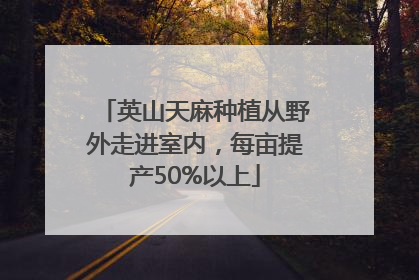 英山天麻种植从野外走进室内，每亩提产50%以上