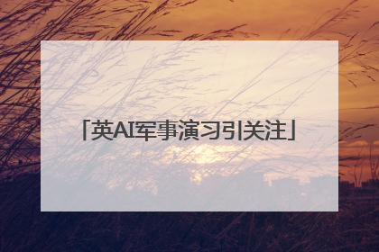 英AI军事演习引关注