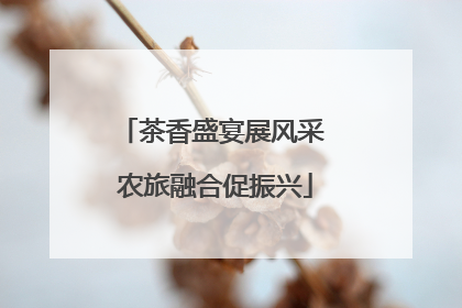 茶香盛宴展风采 农旅融合促振兴