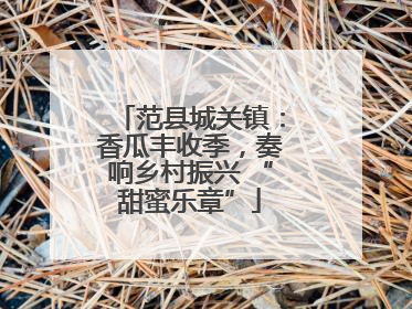 范县城关镇：香瓜丰收季，奏响乡村振兴 “甜蜜乐章”