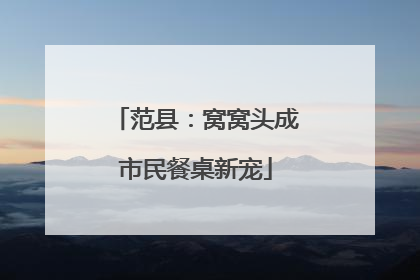 范县：窝窝头成市民餐桌新宠