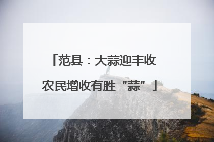 范县：大蒜迎丰收 农民增收有胜“蒜”