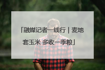 融媒记者一线行｜麦地套玉米 多收一季粮