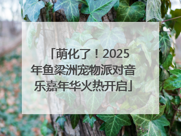 萌化了！2025年鱼梁洲宠物派对音乐嘉年华火热开启