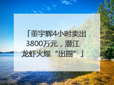 董宇辉4小时卖出3800万元，潜江龙虾火爆“出圈”