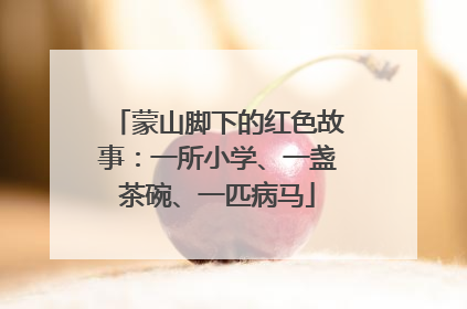 蒙山脚下的红色故事：一所小学、一盏茶碗、一匹病马