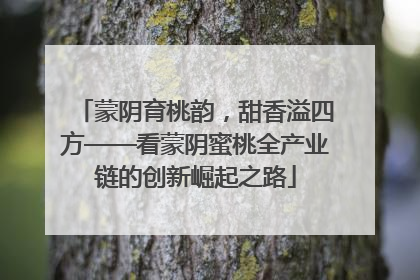 蒙阴育桃韵，甜香溢四方——看蒙阴蜜桃全产业链的创新崛起之路
