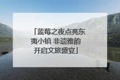 蓝莓之夜点亮东夷小镇 非遗雅韵开启文旅盛宴