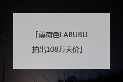 薄荷色LABUBU拍出108万天价