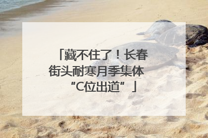 藏不住了！长春街头耐寒月季集体“C位出道”