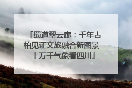 蜀道翠云廊：千年古柏见证文旅融合新图景丨万千气象看四川