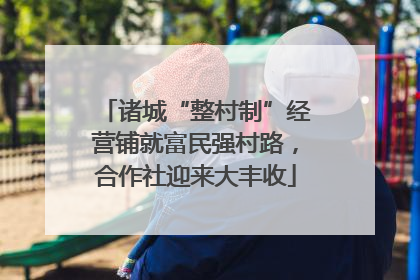 诸城“整村制”经营铺就富民强村路，合作社迎来大丰收