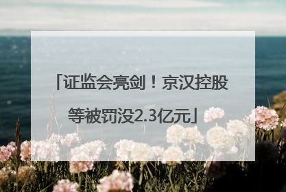 证监会亮剑！京汉控股等被罚没2.3亿元