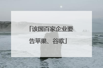 该国百家企业要告苹果、谷歌