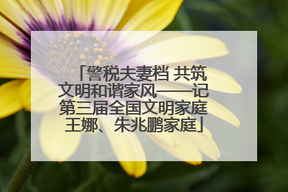 警税夫妻档 共筑文明和谐家风——记第三届全国文明家庭王娜、朱兆鹏家庭