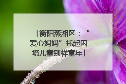 衡阳蒸湘区：“爱心妈妈”托起困境儿童别样童年