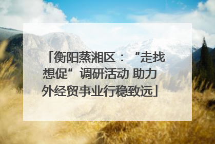 衡阳蒸湘区：“走找想促”调研活动 助力外经贸事业行稳致远
