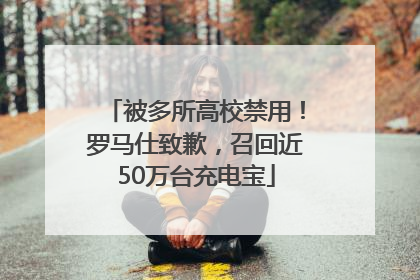 被多所高校禁用！罗马仕致歉，召回近50万台充电宝