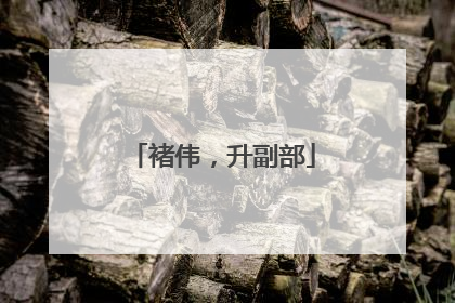 褚伟，升副部