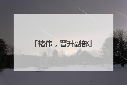 褚伟，晋升副部