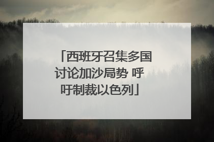 西班牙召集多国讨论加沙局势 呼吁制裁以色列