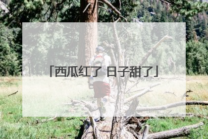 西瓜红了 日子甜了