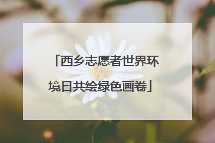西乡志愿者世界环境日共绘绿色画卷