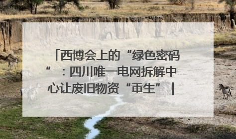 西博会上的“绿色密码”：四川唯一电网拆解中心让废旧物资“重生”｜西博寻“新”记