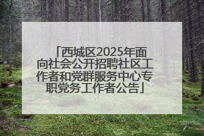西城区2025年面向社会公开招聘社区工作者和党群服务中心专职党务工作者公告
