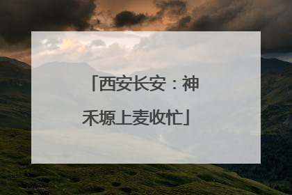 西安长安：神禾塬上麦收忙