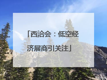 西洽会：低空经济展商引关注