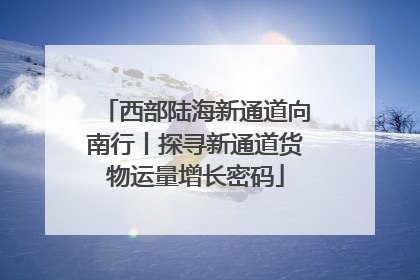西部陆海新通道向南行丨探寻新通道货物运量增长密码