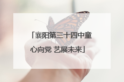 襄阳第三十四中童心向党 艺展未来