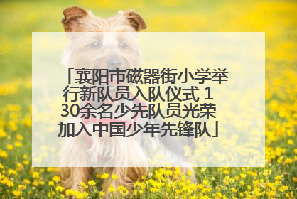 襄阳市磁器街小学举行新队员入队仪式 130余名少先队员光荣加入中国少年先锋队