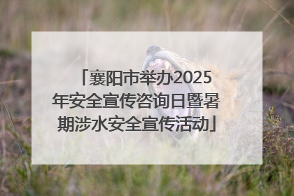 襄阳市举办2025年安全宣传咨询日暨暑期涉水安全宣传活动