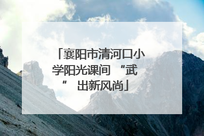 襄阳市清河口小学阳光课间 “武” 出新风尚