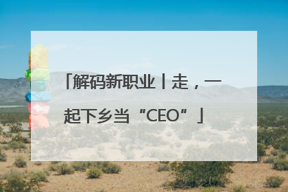 解码新职业丨走，一起下乡当“CEO”