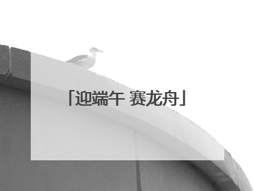 迎端午 赛龙舟