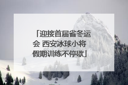 迎接首届省冬运会 西安冰球小将假期训练不停歇