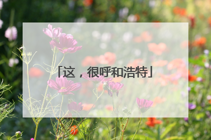 这，很呼和浩特