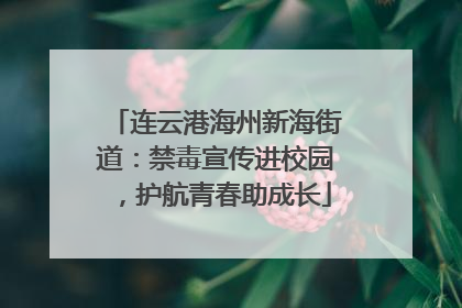 连云港海州新海街道：禁毒宣传进校园，护航青春助成长
