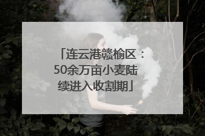 连云港赣榆区：50余万亩小麦陆续进入收割期