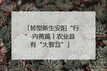 转型新生安阳“行”·内黄篇丨农业县有“大智慧”