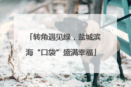 转角遇见绿，盐城滨海“口袋”盛满幸福