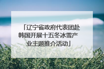 辽宁省政府代表团赴韩国开展十五冬冰雪产业主题推介活动
