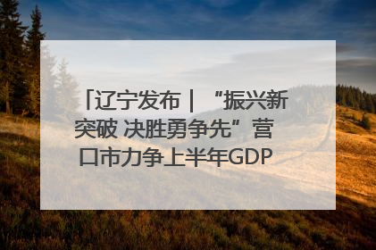 辽宁发布｜“振兴新突破 决胜勇争先”营口市力争上半年GDP增长6%左右