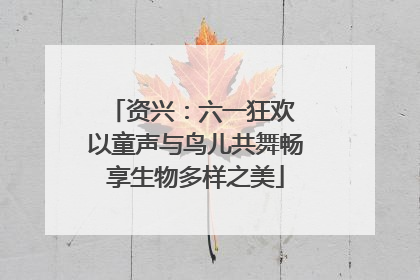 资兴：六一狂欢 以童声与鸟儿共舞畅享生物多样之美