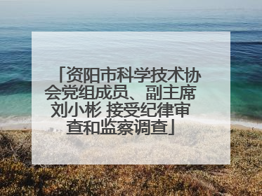 资阳市科学技术协会党组成员、副主席刘小彬 接受纪律审查和监察调查