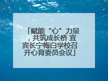 赋能“心”力量，共筑成长桥 宜宾长宁梅白学校召开心育委员会议