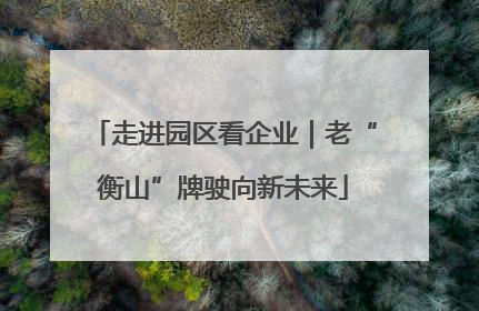 走进园区看企业｜老“衡山”牌驶向新未来